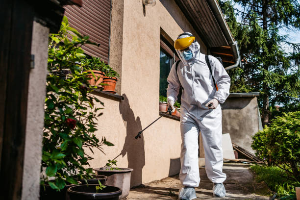 Best Wasp Removal Services  in Canon, GA