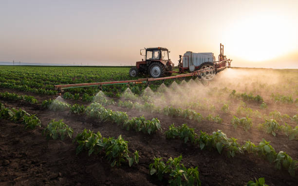 Best Mosquito Control Services  in Canon, GA