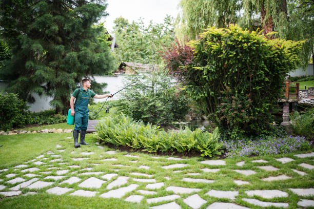 Best Best Pest Control Companies  in Canon, GA