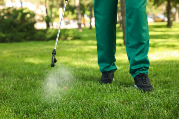 Best Pest Prevention Services  in Canon, GA