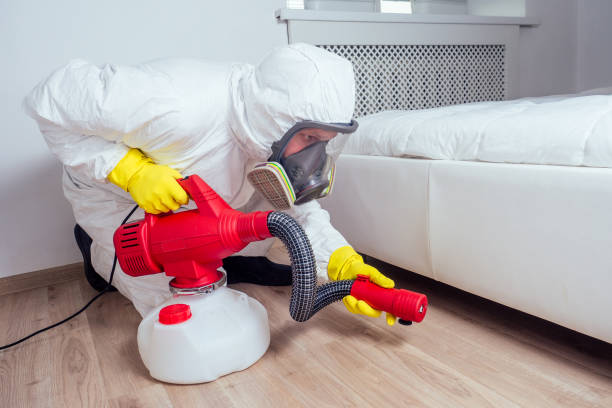 Best Emergency Pest Control  in Canon, GA