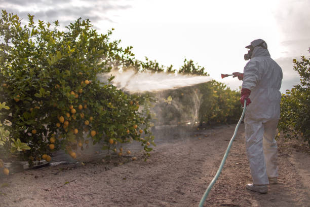 Best Pest Control Near Me  in Canon, GA