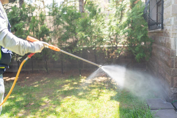 Best Spider Control Near Me  in Canon, GA