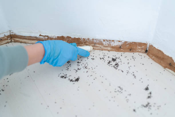 Best Commercial Pest Control Services  in Canon, GA